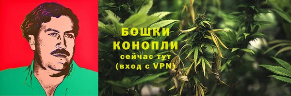 дмт Горнозаводск
