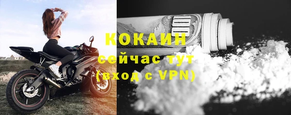 дмт Горнозаводск
