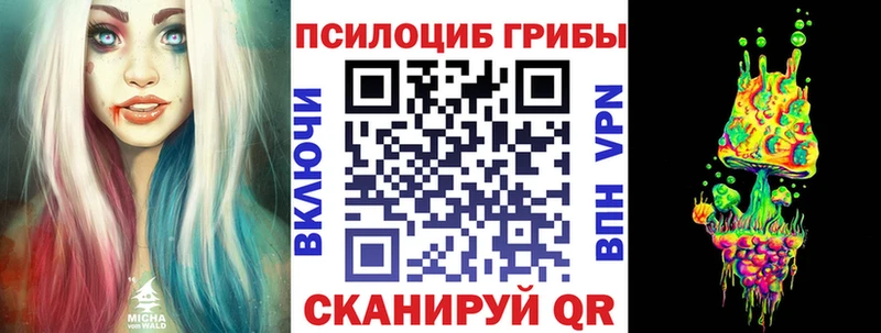 Купить закладки  Поворино  Галлюциногенные грибы Psilocybe 